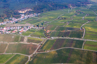 MP Ranch from the southeast in the district Königsbach in Neustadt an der Weinstraße in the state Rhineland-Palatinate, Germany