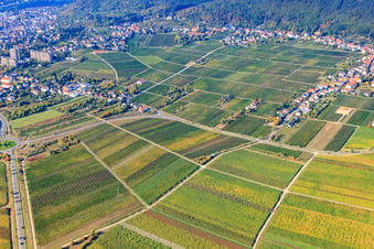 Aerial photograpy of From the northeast in Neustadt an der Weinstraße in the state Rhineland-Palatinate, Germany