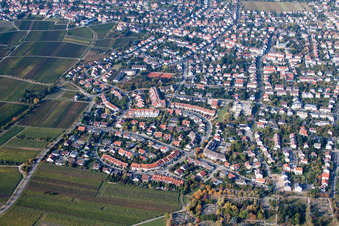 Maconring in Neustadt an der Weinstraße in the state Rhineland-Palatinate, Germany