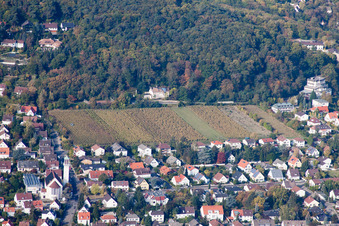 Fields of wine cultivation landscape in the district Hambach in Neustadt an der Weinstrasse in the state Rhineland-Palatinate