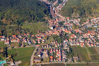 Overview of the town from the east in the district Hambach an der Weinstraße in Neustadt an der Weinstraße in the state Rhineland-Palatinate, Germany