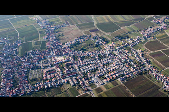 Panorama from the local area and environment in the district Diedesfeld in Neustadt an der Weinstrasse in the state Rhineland-Palatinate