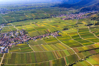 Alsterweiler district between vineyards in Maikammer in the state Rhineland-Palatinate, Germany