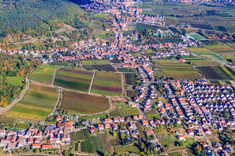 At the Cherry Orchard in the district Hambach an der Weinstraße in Neustadt an der Weinstraße in the state Rhineland-Palatinate, Germany