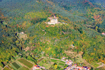 Castle Hambach in Neustadt in the Weinstrasse in the state Rhineland-Palatinate out of the air