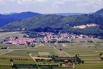 Place in the vineyards from the east in Frankweiler in the state Rhineland-Palatinate, Germany
