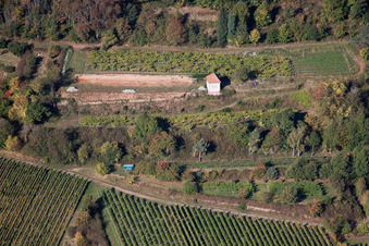 Vineyard hut on the Eichelberg in Maikammer in the state Rhineland-Palatinate, Germany