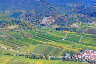 Glider over the Kalmithöhenstr in Maikammer in the state Rhineland-Palatinate, Germany