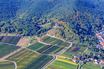 Glider over the Kropsburg in the district SaintMartin in Sankt Martin in the state Rhineland-Palatinate, Germany