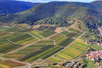 Aerial view of Glider over the Kropsburg in the district SaintMartin in Sankt Martin in the state Rhineland-Palatinate, Germany