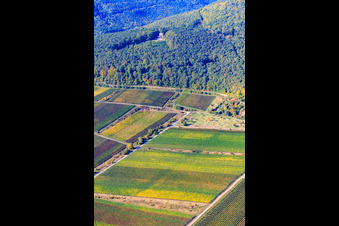 Victory and Peace Monument in Edenkoben in the state Rhineland-Palatinate, Germany out of the air