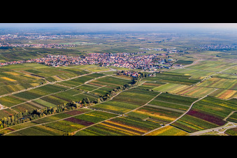 City view from the northwest on the edge of vineyards in Maikammer in the state Rhineland-Palatinate, Germany