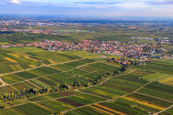 City view from the northwest in Maikammer in the state Rhineland-Palatinate, Germany