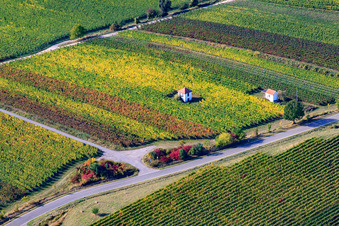 Wingerthäusle in Edenkoben in the state Rhineland-Palatinate, Germany