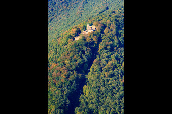 Aerial view of Ruins and remains of the walls of the former castle and fortress Rietburg in Rhodt unter Rietburg in the state Rhineland-Palatinate, Germany