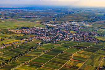 City view from the southwest in Edenkoben in the state Rhineland-Palatinate, Germany