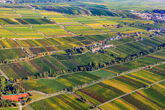 Klosterstr in Edenkoben in the state Rhineland-Palatinate, Germany from above