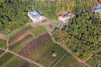 Drone recording of Castle of Schloss Villa Ludwigshoehe in Edenkoben in the state Rhineland-Palatinate, Germany