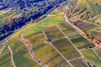 Oblique view of Michael's Chapel in the Vinert in Weyher in der Pfalz in the state Rhineland-Palatinate, Germany