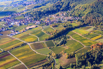 Aerial view of Modenbachtal and Burrweiler mill in Burrweiler in the state Rhineland-Palatinate, Germany