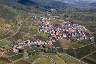 Aerial view of Vineyards from the south in Weyher in der Pfalz in the state Rhineland-Palatinate, Germany
