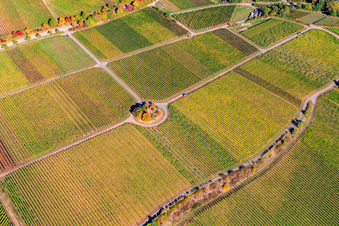 Michael's Chapel in the Vinert in Weyher in der Pfalz in the state Rhineland-Palatinate, Germany from above