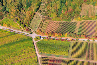 Aerial photograpy of Vineyards on the edge of the Haardt Modenbachtalstr in Weyher in der Pfalz in the state Rhineland-Palatinate, Germany