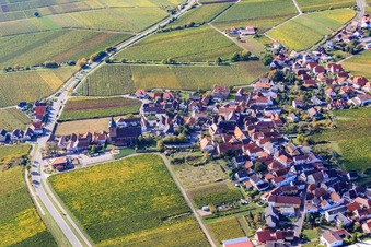 Weinstr in Burrweiler in the state Rhineland-Palatinate, Germany