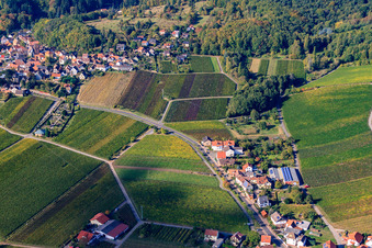 Wine route between Gleisweiler and Burrweiler in Gleisweiler in the state Rhineland-Palatinate, Germany