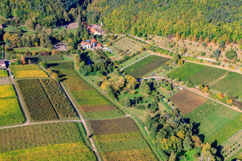 At Hainbach in Gleisweiler in the state Rhineland-Palatinate, Germany