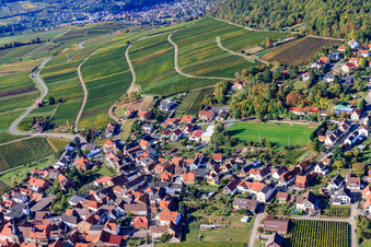 Haardtrand-Käfernberg vineyard in Frankweiler in the state Rhineland-Palatinate, Germany