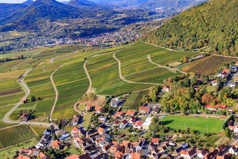 Aerial view of Haardtrand-Käfernberg vineyard in Frankweiler in the state Rhineland-Palatinate, Germany