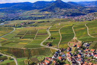Aerial photograpy of Haardtrand-Käfernberg vineyard in Frankweiler in the state Rhineland-Palatinate, Germany