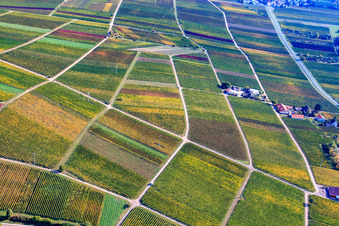 Marienfelder Hof Wine and Sparkling Wine Estate in Siebeldingen in the state Rhineland-Palatinate, Germany