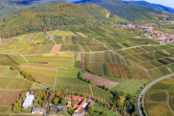 Oblique view of BFA-Geilweilerhof (Vine Research Institute) JKI Institute in Siebeldingen in the state Rhineland-Palatinate, Germany