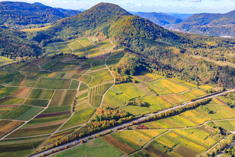 Kastanienbusch vineyard under the Hohenberg in Birkweiler in the state Rhineland-Palatinate, Germany