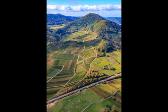 Aerial view of Kastanienbusch vineyard under the Hohenberg in Birkweiler in the state Rhineland-Palatinate, Germany