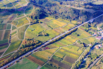 Kastanienbusch vineyard on the B10 in Albersweiler in the state Rhineland-Palatinate, Germany