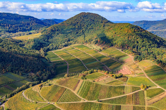 Aerial photograpy of Kastanienbusch vineyard under the Hohenberg in Birkweiler in the state Rhineland-Palatinate, Germany