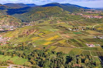 Vineyards between Albersweiler and Frankweiler in Siebeldingen in the state Rhineland-Palatinate, Germany