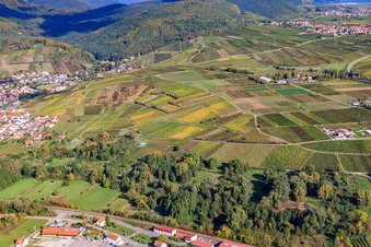 Vineyards between Albersweiler and Siebeldingen in Siebeldingen in the state Rhineland-Palatinate, Germany