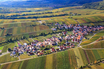 Wine-growing village between vineyards from the north in Ranschbach in the state Rhineland-Palatinate, Germany