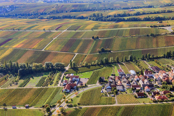 Vineyards in autumn leaves in the district Arzheim in Landau in der Pfalz in the state Rhineland-Palatinate, Germany
