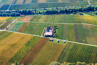 Erlenwein Winery in Ilbesheim bei Landau in the state Rhineland-Palatinate, Germany