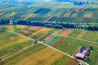 Aerial photograpy of Erlenwein Winery in Ilbesheim bei Landau in the state Rhineland-Palatinate, Germany