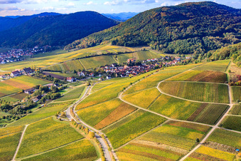 Wine-growing village between vineyards from the north in Leinsweiler in the state Rhineland-Palatinate, Germany
