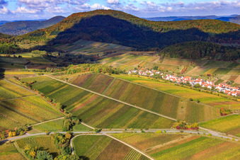 Vineyards in the Ranschbachtal in Birkweiler in the state Rhineland-Palatinate, Germany