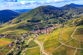 Haardtrand Kirchholz vineyard in Leinsweiler in the state Rhineland-Palatinate, Germany