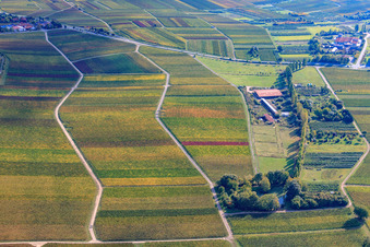 Hirtenbrunner Hof on the Aalmühl in Ilbesheim bei Landau in the state Rhineland-Palatinate, Germany