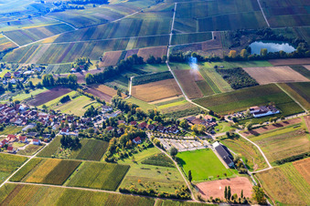 Aerial view of Wine-growing village between vineyards from the north in Göcklingen in the state Rhineland-Palatinate, Germany